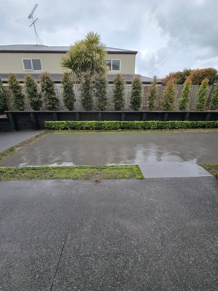 Wet concrete slab in a backyard with a row of tall bushes and a two-story house in the background under a cloudy sky.